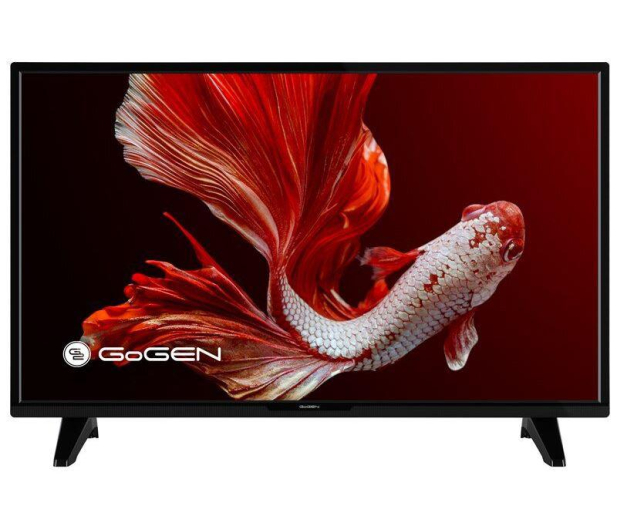 Gogen TV GOGEN 24" TVH24P452T HD - 1385187 - zdjęcie
